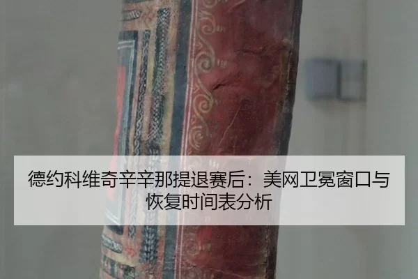 de-yue-ke-wei-qi-xin-xin-na-ti-tui-sai-hou-mei-wang-wei-mian-chuang-kou-yu-hui-fu-shi-jian-biao-fen-xi-3-931.jpg